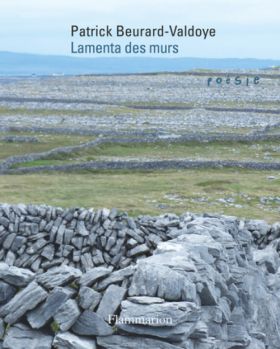 Patrick Beurard-Valdoye, Lamenta des murs (2)