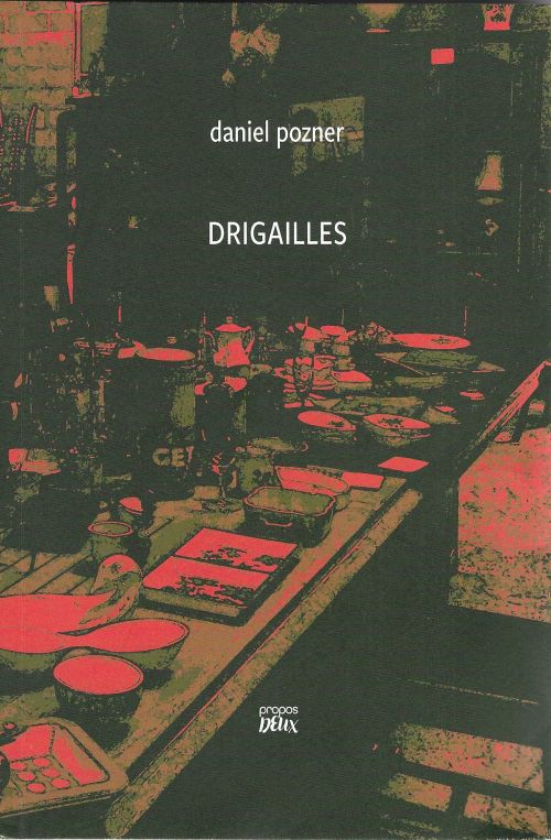 Drigailles, de Daniel Pozner              