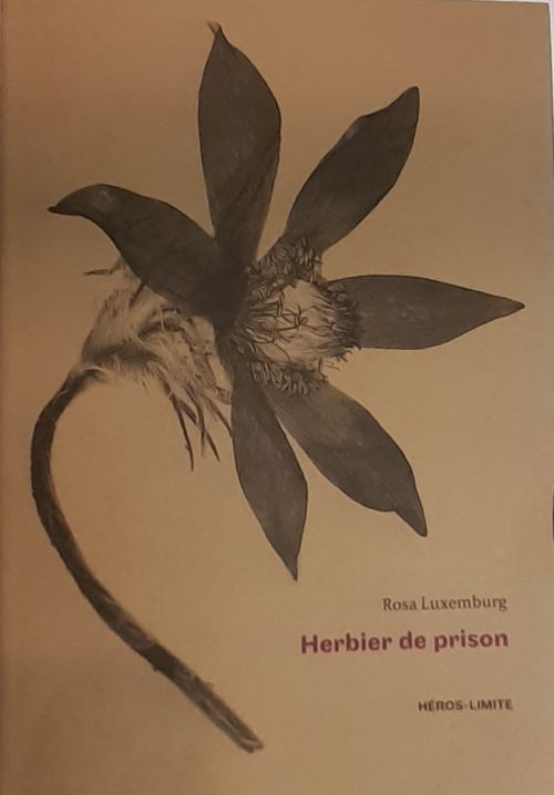 Herbier de prison de Rosa Luxemburg               