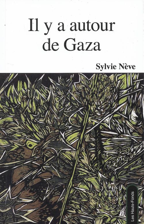 Il y a autour de Gaza de Sylvie Nève              