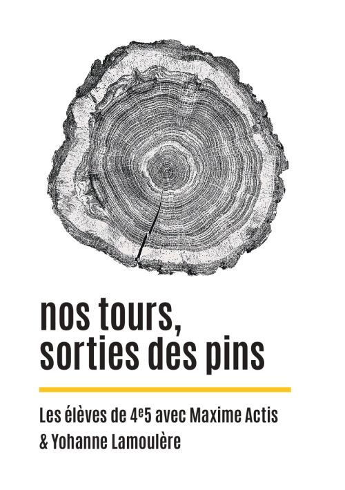 nos tours, sorties des pins (les élèves de 4e5 avec Maxime Actis & Yohanne Lamoulère)              