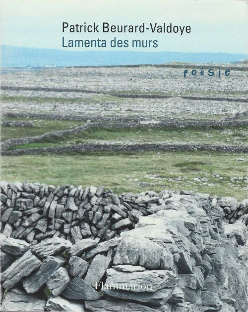 Patrick Beurard-Valdoye,  Lamenta des murs              